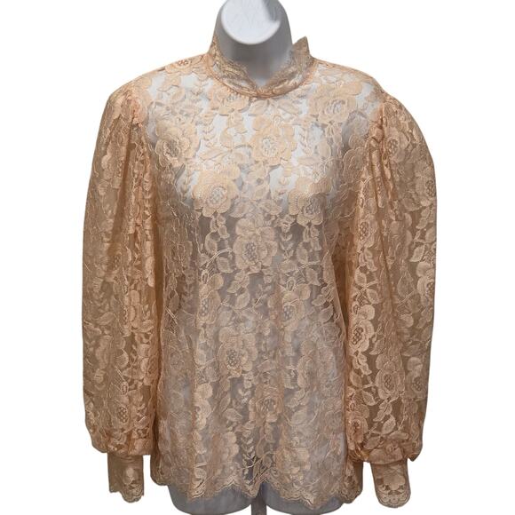 VTG Romantic Coquette Rose Pattern Pink Sheer Lace Blouse  Balloon Button -up - Picture 1 of 8